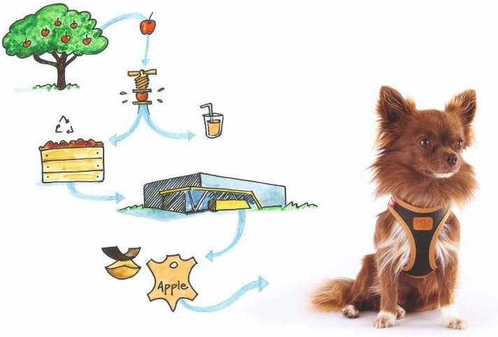 curli(カーリー) カーリープレミアムコレクション アップルレザー