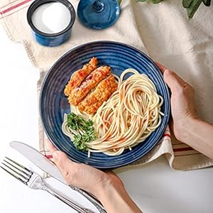 Hasensepastabowlssetof232ozporcelainshallowbowlsforkitchen87inchservingbowlsforsaladpastdinnersoupdinnerplatebowlsforhomegiftdishwashermicrowavesafeblue Urban Country Home Decor Hasense pasta bowls set of 2 32 oz porcelain shallow bowls for kitchen 87 inch serving bowls for salad past dinner soup dinner plate bowls for home gift dishwasher microwave safe blue urban country home decor