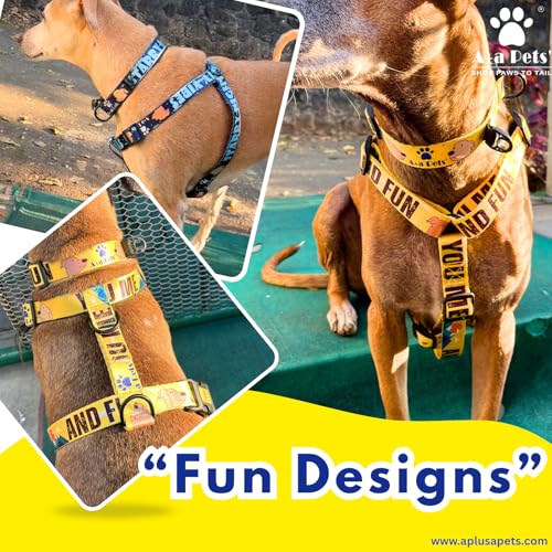 Image of A+a Pets' H-Harness for Dogs, Cats | Soft Premium Waterproof (Animal Galaxy, L)