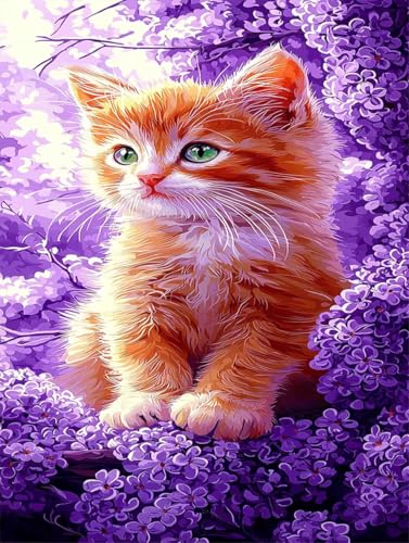 Peinture Numero Adulte Chat Violet - Kit Loisirs Créatifs Strass Point de Croix 50x60cm