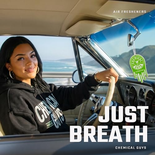 Image of Chemical Guys Hanging Car Air Freshener 12-Pack, Cali Greens Premium Fresh Floral & Refreshing Green Fragrance, Rearview Mirror Paper Fresheners for Cars, Trucks, SUVs, RVs & Boats