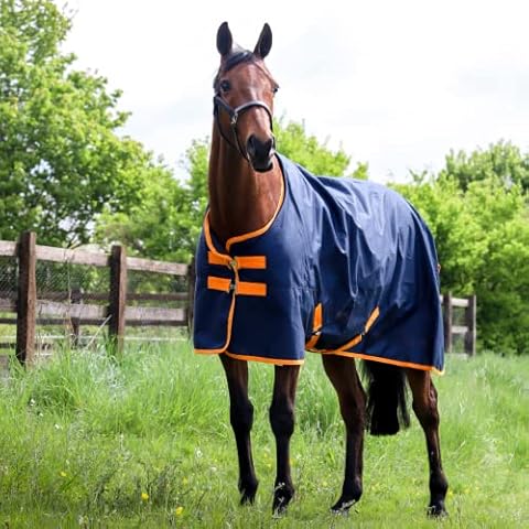 GS Equestrian Waterproof 200g Turnout Rug Cover