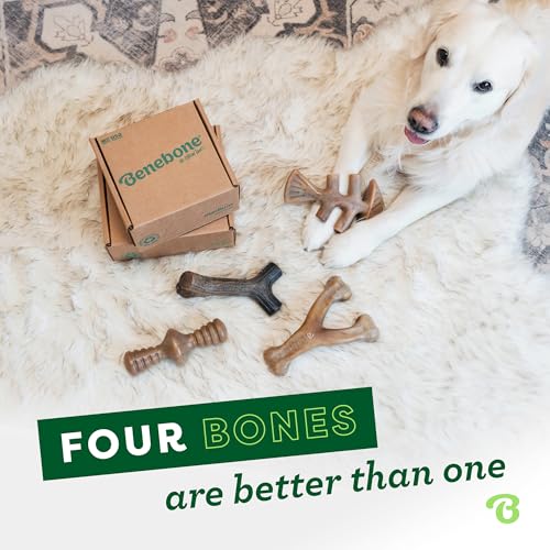 Image of Benebone Limited Edition Small 4 Pack with Pumpkin Wishbone Dog Chew Toys for Aggressive Chewers, Made in USA, 30lbs and Under