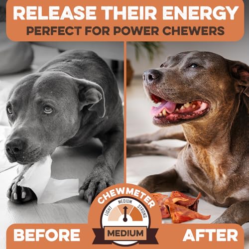 100-Natural-Whole-Pig-Ear-Dog-Treat-12-Pack-Our-Healthy-Pig-Ears-Are-Easy-To-Digest-Chemical-Hormone-Free-Thick-Cut-For-Aggressive-Chewers-Great-Small-Or-Large-Dogs 100 Natural Whole Pig Ear Dog Treat 12 Pack Our Healthy Pig Ears Are Easy To Digest Chemical Hormone Free Thick Cut For Aggressive Chewers Great Small Or Large Dogs