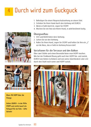 Spiel & Spaß mit Hund: Beschäftigungsideen für zu Hause und unterwegs