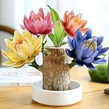 Joyodor Brazilian Wood,with Base and Mystery Doll Decorations, Easy to in The Home Office to attracts Wealth,Home Decoration,Lucky Wood