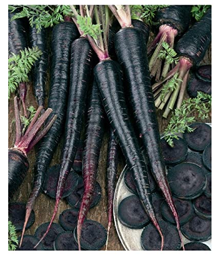 Golden Hills Farm Black Carrot Seed-Kaali Gajar Beej 300-330 seeds (B09JTVSJM4) Amazon Price History, Amazon Price Tracker