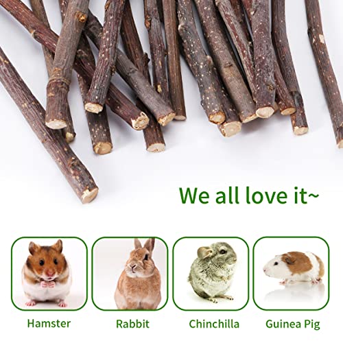 image for YULOYI 300g Natural Apple Sticks Chew Toys, Small Animals Molar Clean 