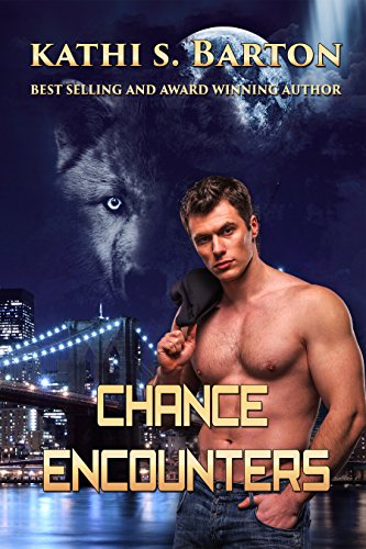 Chance Encounters view 2