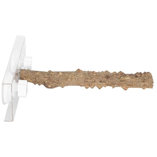 AMONIDA Percha de Ventosa para Loros, con Ventosa Percha de Ducha de pájaros de 25 CM