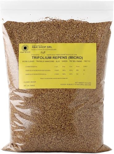 R&R SHOP - Rasensamen Mikro-Klee Trifolium repens kein Mähen erforderlich begehbar und Bodendecker (900g 225m)