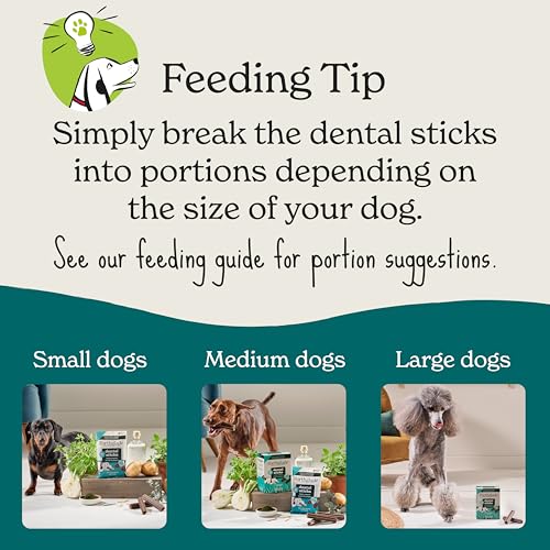 Forthglade Natural Dog Dental Sticks (20 Sticks) - Plant-Based & Grain Free Dog Treats, Dental Chews for Fresh Breath, Removes Plaque and Tartar, Resealable Bags - Image 4