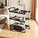 VEVOR Utility Cart, 300 lbs Load Capacity, 3-Tier Utility Plastic Cart with 360° Swivel Wheels (2 with Brakes), 24.4 x 16.1-inch Food Service Cart for Warehouse, Office, Home, Restaurant, Kitchen