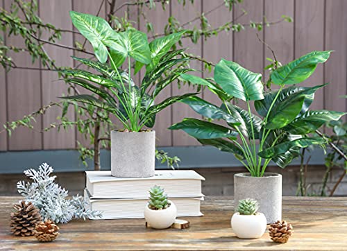 Jc Nateva 1 Pack 16" Small Fake Plants And 2Pcs 16" Fake Plants Artificial Plants For Farmhouse Bathroom Kitchen Office Home Decor Indoor #TOP5