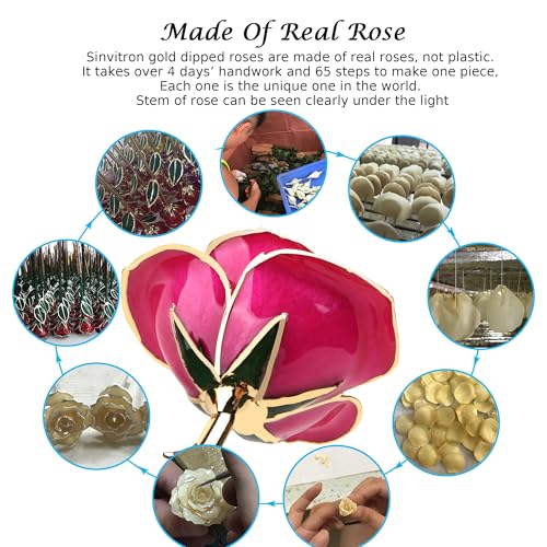 Image of Sinvitron Gold Dipped Infinity Rose Forever Flower Decor, Resin Preserved Real Rose Birthday Gift for Women, Anniversary Present for Mom (Rose Red)