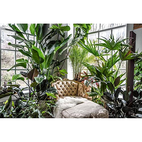 La Giungla In Casa - 3