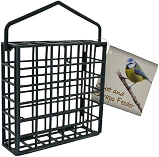 Green Jem Plastic Dual Suet/Scraps Wild Bird Feeder, Easy to Fill and Clean, Attracts Many Species of Garden Birds.