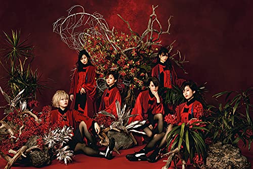 【Amazon.co.jp限定】BRiGHT FUTURE(カセット+CD+Blu-ray)(初回生産限定盤)(外付け特典あり:内容未定)の商品画像