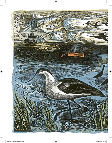 Wild Light: A Printmaker's Day, A Printmaker's Night #TOP3
