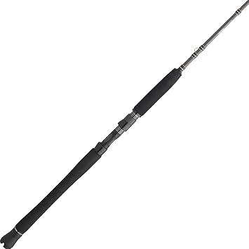Penn Carnage III Inshore Casting Fishing Rod,Silver/Black/Gold, 7 - Heavy - 1pc