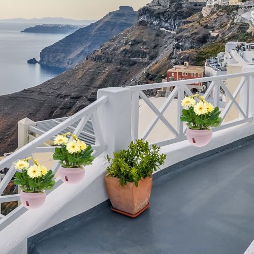 Pot de fleurs suspendu pour optimiser l'espace des orchidées en intérieur