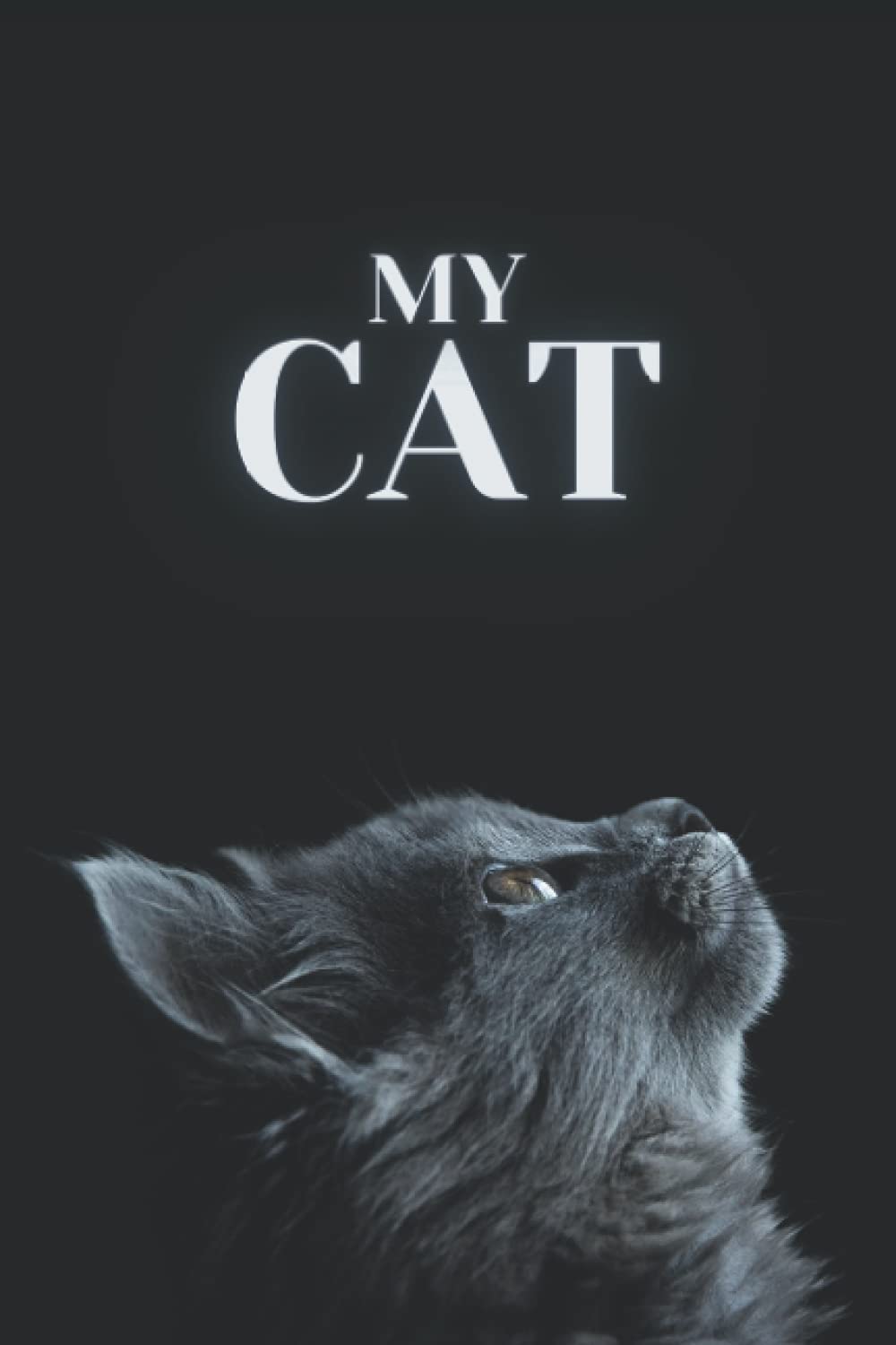 My CAT: Hidden Crypto Password Keeper: Paper Offline Cold Wallet, Crypto Private Key Storage, Crypto PAPER WALLET, Crypto Recovery Logbook, Crypto Seed Phrase Storage Book, Hidden Password Book