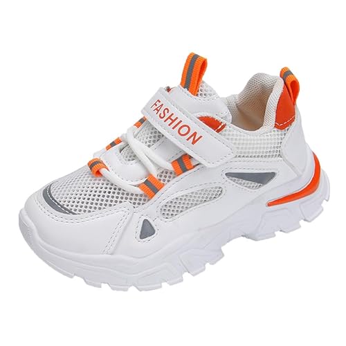 [ZebrApril] LbY Xj[J[ qC j̎q ̎q ʊw ^C jOV[Y ʋC y bV h sC gxV[Y tďH ~ /IW 16.5-22cm (IW,16.5 cm)