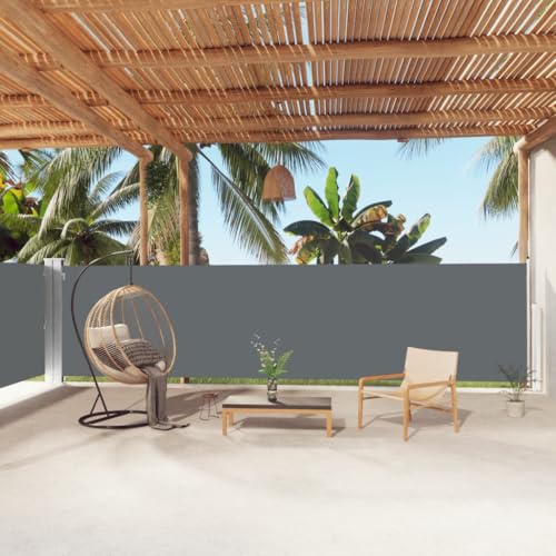 Store latéral anthracite pour bloquer le vis-à-vis sur une terrasse - 2