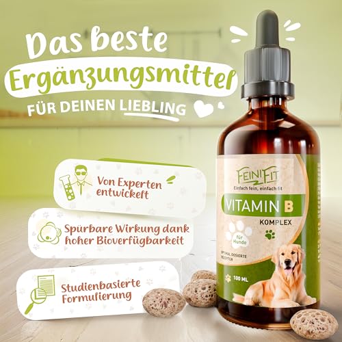FeiniFit Vitamin B Komplex Hund Tropfen 100 ml – flüssige B-Vitamine für Hunde, leichte Einnahme statt Tabletten, B Vitamine Hunde (B1–B12) für einfache tägliche Versorgung, Made in Germany