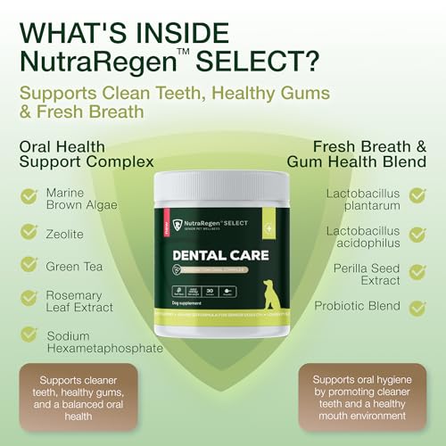 Select Senior Dog Dental Powder 30 Servings | Beef Flavored Dog Breath Freshener for Oral & Gum Health | Pet Dental Powder Helps Manage Plaque & Tartar Buildup and Chewing Issues | 4.6 Oz