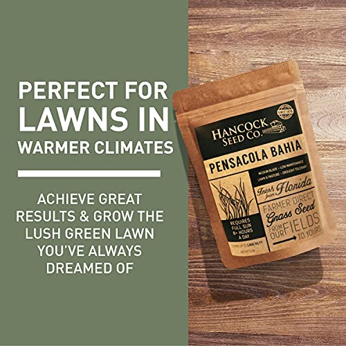 Grass Seed Blends For Sandy Soil Beach Properties