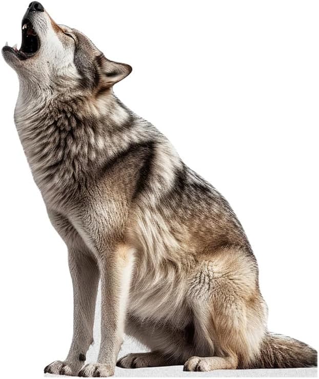 wolf - life size cardboard cutout standup people with support standee | animals