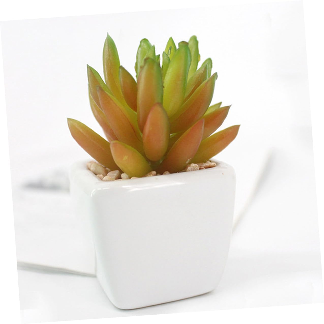 Mipcase 6 Pièces Succulente Artificielle en Céramique Blanche Mini Bonsaï