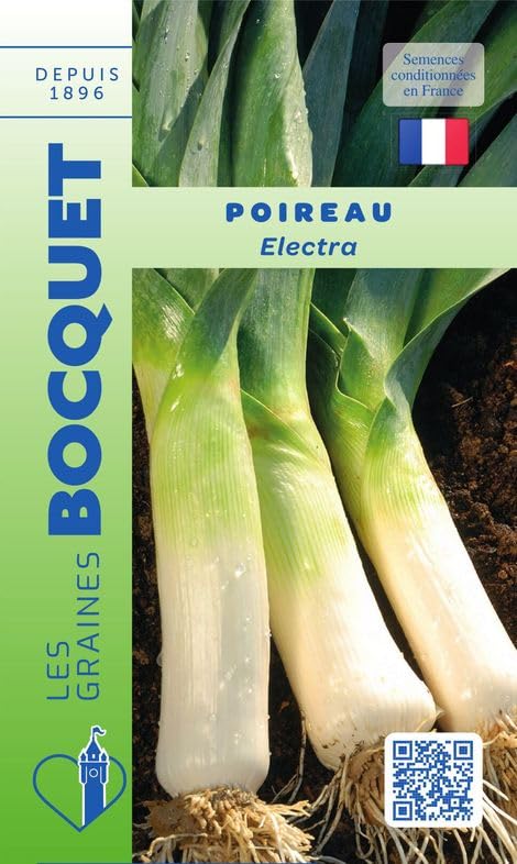 Sachet de graines de Poireau Electra - 3 g - légume bulbe - LES GRAINES BOCQUET