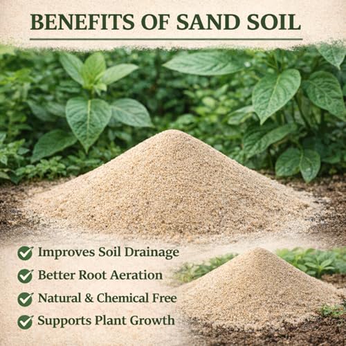 Image of Balu Mitti (Desert Sand) for Gardening | Natural Sand for Potting Mix, Home Garden, Pots & Outdoor Plants | 1800g