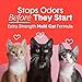 Boxie® Extra Strength 35 Day Odor Control Clumping Clay Cat & Kitty Litter 16lb, 99.9% Dust-Free, Probiotic Formula, Long-Lasting, Veterinarian Approved, Easy Scooping for Multi-Cat Homes