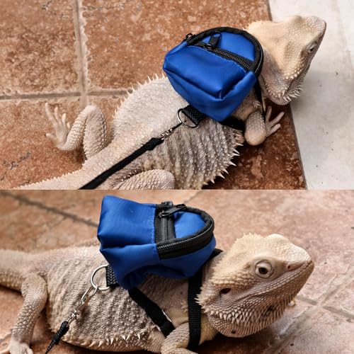 Image of Bearded Dragons Accessories Toy Lizard Backpack Leash Set Adjustable Strap and Mini Skateboard Suitable for Lizard Bearded Dragons Hamster Parrots Little Turtle Reptiles Small Animals (Blue)