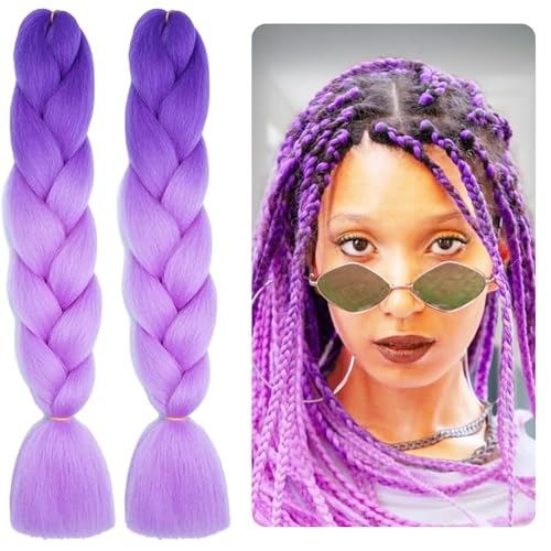 Leogony 2PCS 2 Tone Hair Extensions for Braiding Deep Purple and Light Purple Fake Braids Hair, Plait Coloured Synthetic Wig
