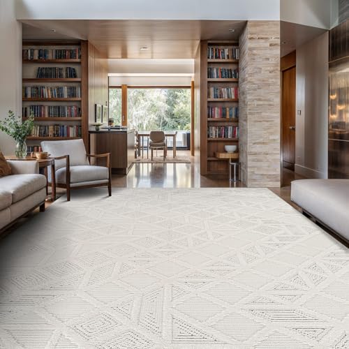 Luul Home Modern Micro Loop Indoor Area Rugs for Living