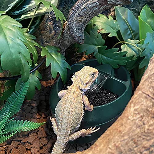 NEPTONION Reptile Chameleon Cantina with Snacks Trough, Drinking Fountain Water Dripper for Amphibians Insects Lizard… - Image 7