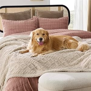   Bedsure-Waterproof-Dog-Blankets-for-Large-Dogs-Pet-Blanket-for-Bed-Protector-Washable-Premium-Jacquard-Coral-Fleece-Cat-Throw-Blanket-Soft-Plush-Reversible-Furniture-Protection-60x80-Cream