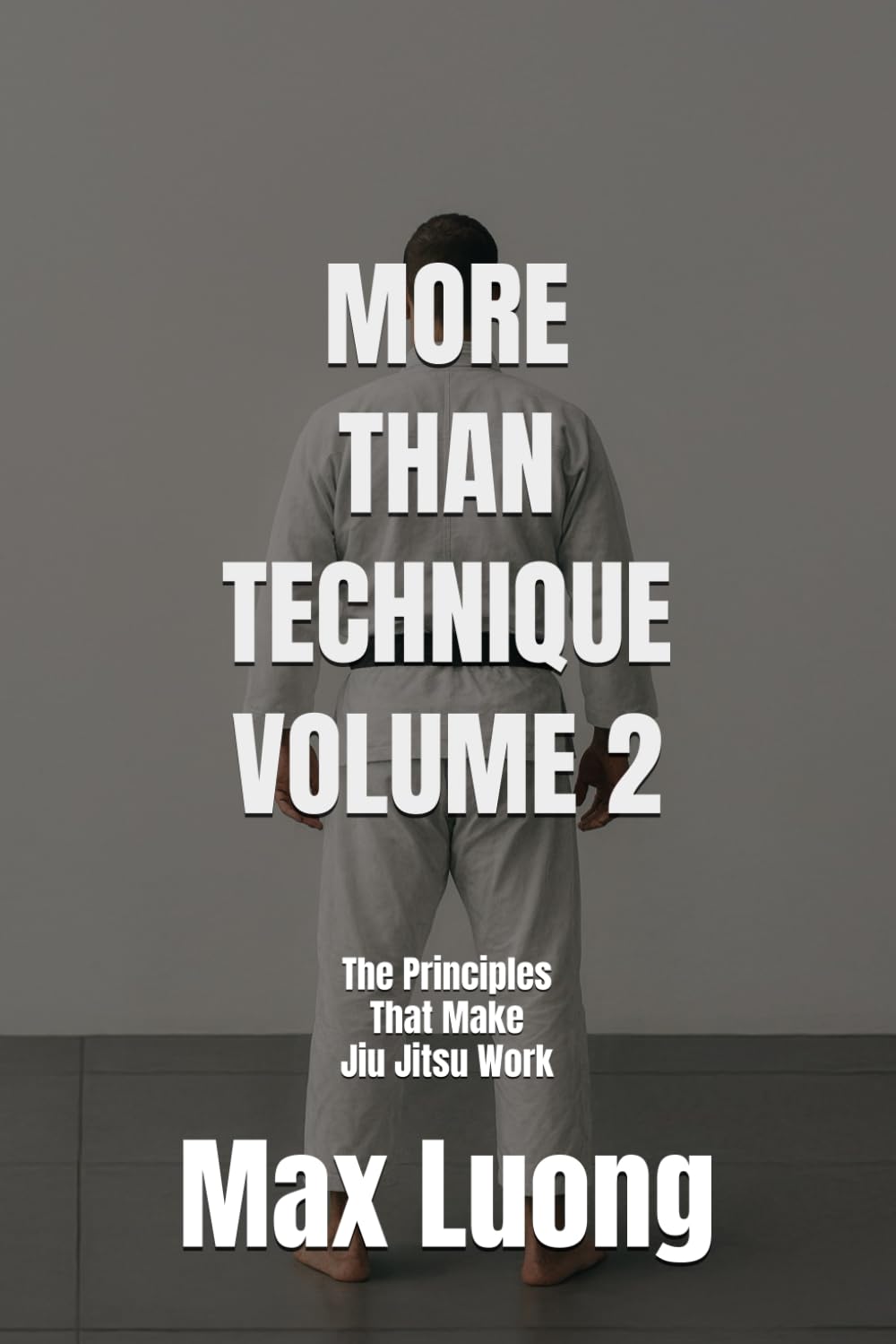 More Than Technique 2: The Principles That Make Jiu Jitsu Work