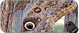 lycaena dispar wiki 5. SUPER KOMFORTABEL - Sehr bequem mit der Maus, beseitigt unebene Oberflächen und bietet eine hilfreiche Unterstützung des Handgelenks, um Handkrämpfen vorzubeugen. Tolle Oberflächentextur.