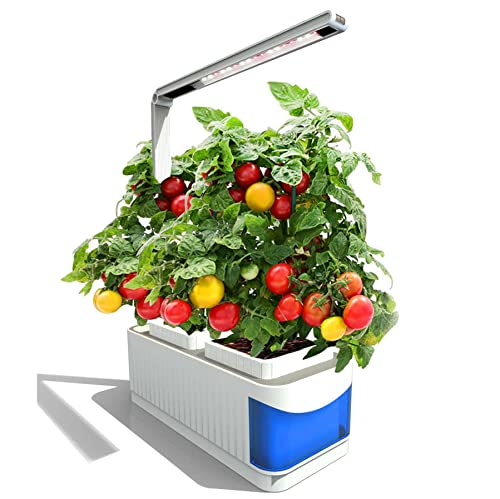 Culture hydroponique plantes d'intérieur et lampe de lecture led pour comptoir