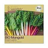Samenliebe BIO Mangold Samen | Regenbogenmangold Bright Lights - bunt & winterhart - samenfestes BIO Saatgut