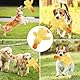 Ambolio Hundespielzeug Unzerstörbar, Gelb Anti Stress Ente für Hunde,Hund Kuscheltier, Unzerstörbares Quietschend, Plüsch-Kauspielzeug Klingendes Plüsch-Hundespielzeug Für Kleine