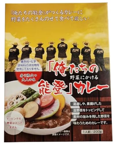 【単品】俺たちの能登 カレー 石川県ご当地グルメ 無添加 レトルトカレー 野菜に合う 中辛