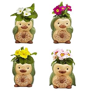 Bird/Penguin Mini Succulent Pots, 3.6x3.5x2.3,Ceramic Animal Succulent planters,Cute Set- 4 Small Flower pots,Cactus Animal Planter, Indoor/Outdoor Plant Pot,Funny Planters with Drainage Hole BirdPenguin Mini Succulent Pots 36x35x23Ceramic Animal Succulent plantersCute Set 4 Small Flower potsCactus Animal Planter IndoorOutdoor Plant PotFunny Planters with Drainage Hole