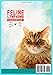 Feline Lymphoma Cookbook: Complete Nutritious Vet-Approved Recipes for Managing Cancer and Recovery. (Homemade Healthy Recipes for Cats)