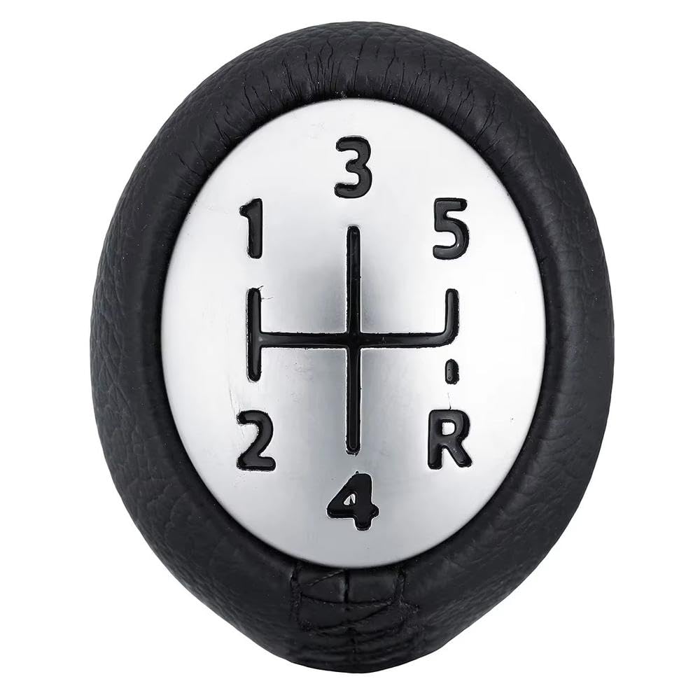 POANBCGY 5 Speed Gear Shift Knob for Renault Laguna Megane 2 for Clio 3 03-09 for Scenic 2 Auto Parts